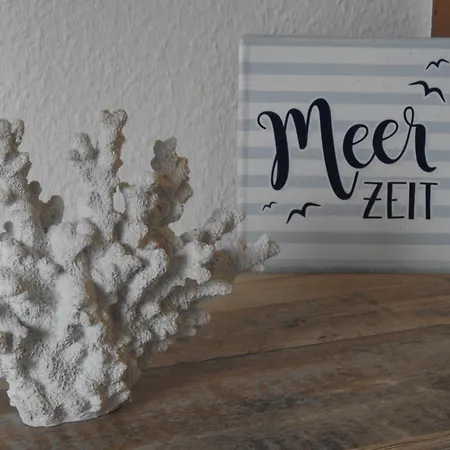 Meerzeit הוקזיל